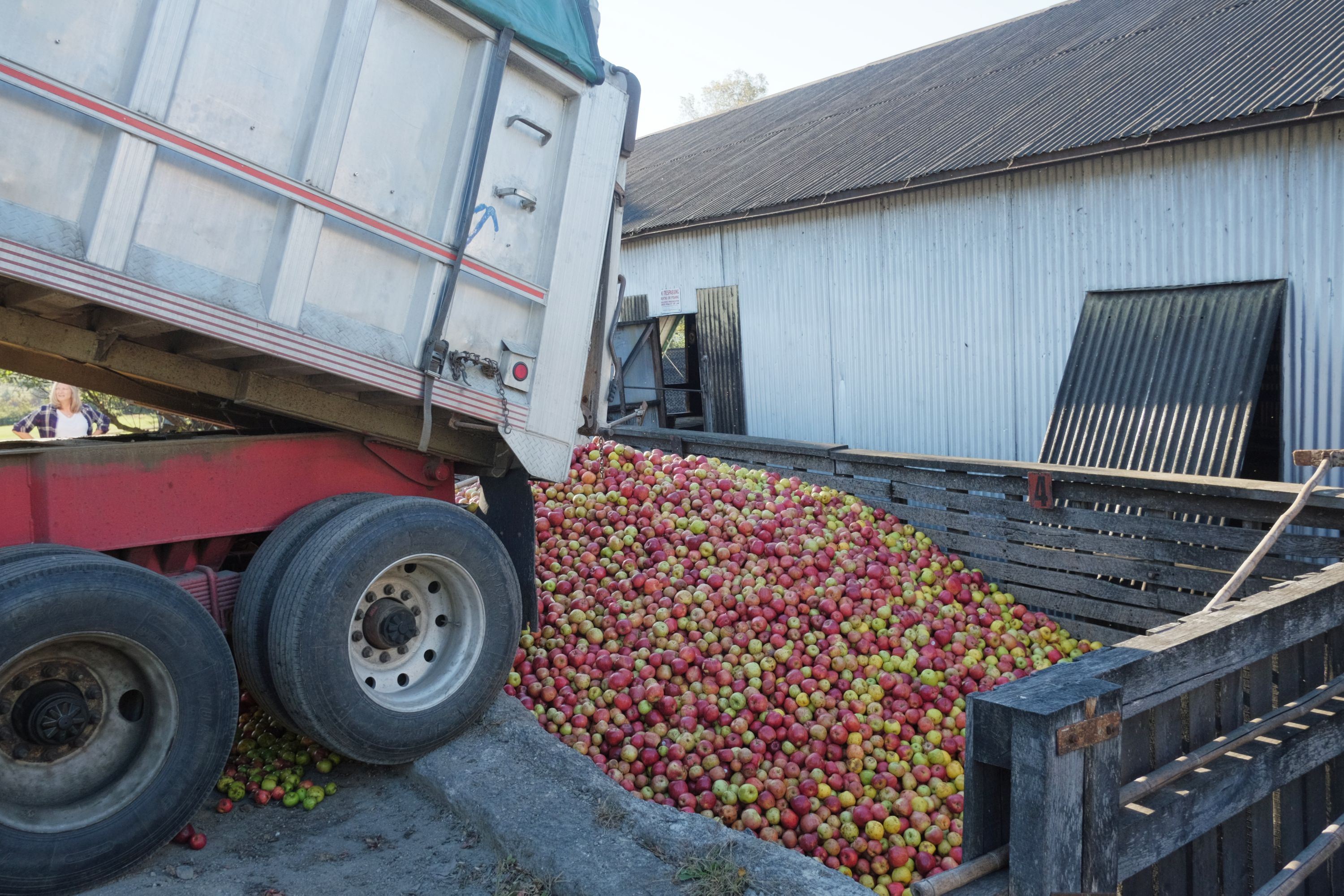 This Distillery Has Been Making Killer Apple Brandy Since Before