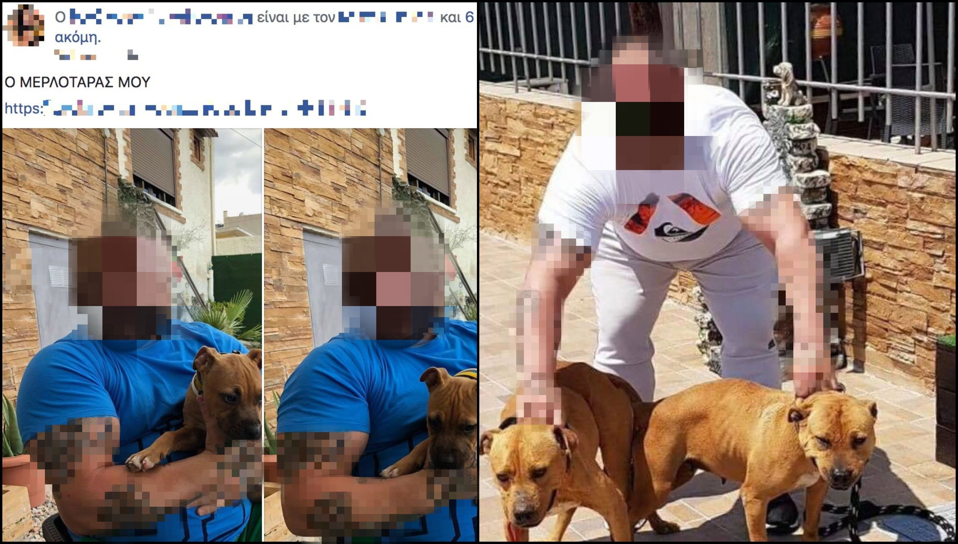 πώς να φτιάξετε πίτμπουλ για να χάσετε βάρος