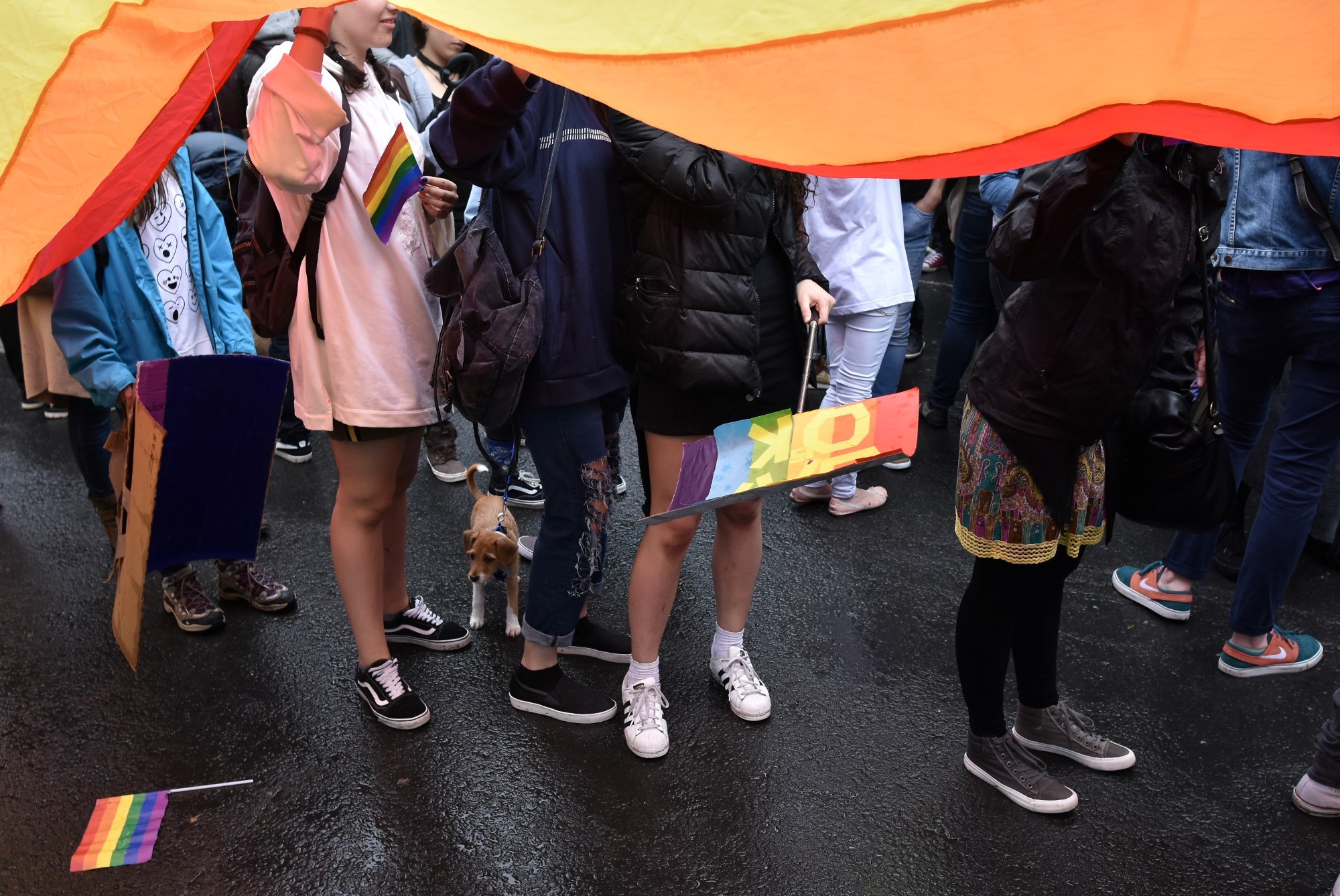 Bucurie într-un CLUB DE GAY din Bucureşti, după eşecul Referendumului. Nu  există familie tradiţională, tradiţional este porcul