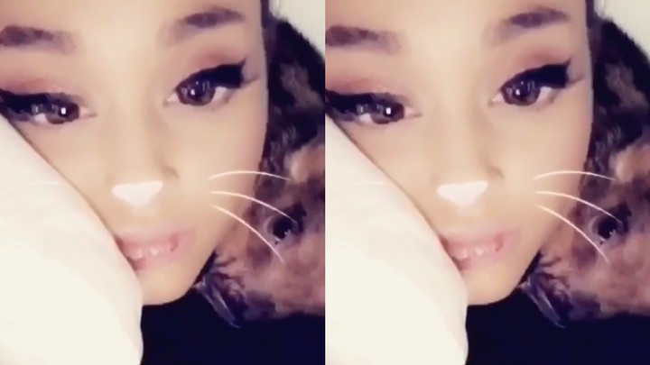 ariana grande's new music video is just footage of her pet pig - i-D