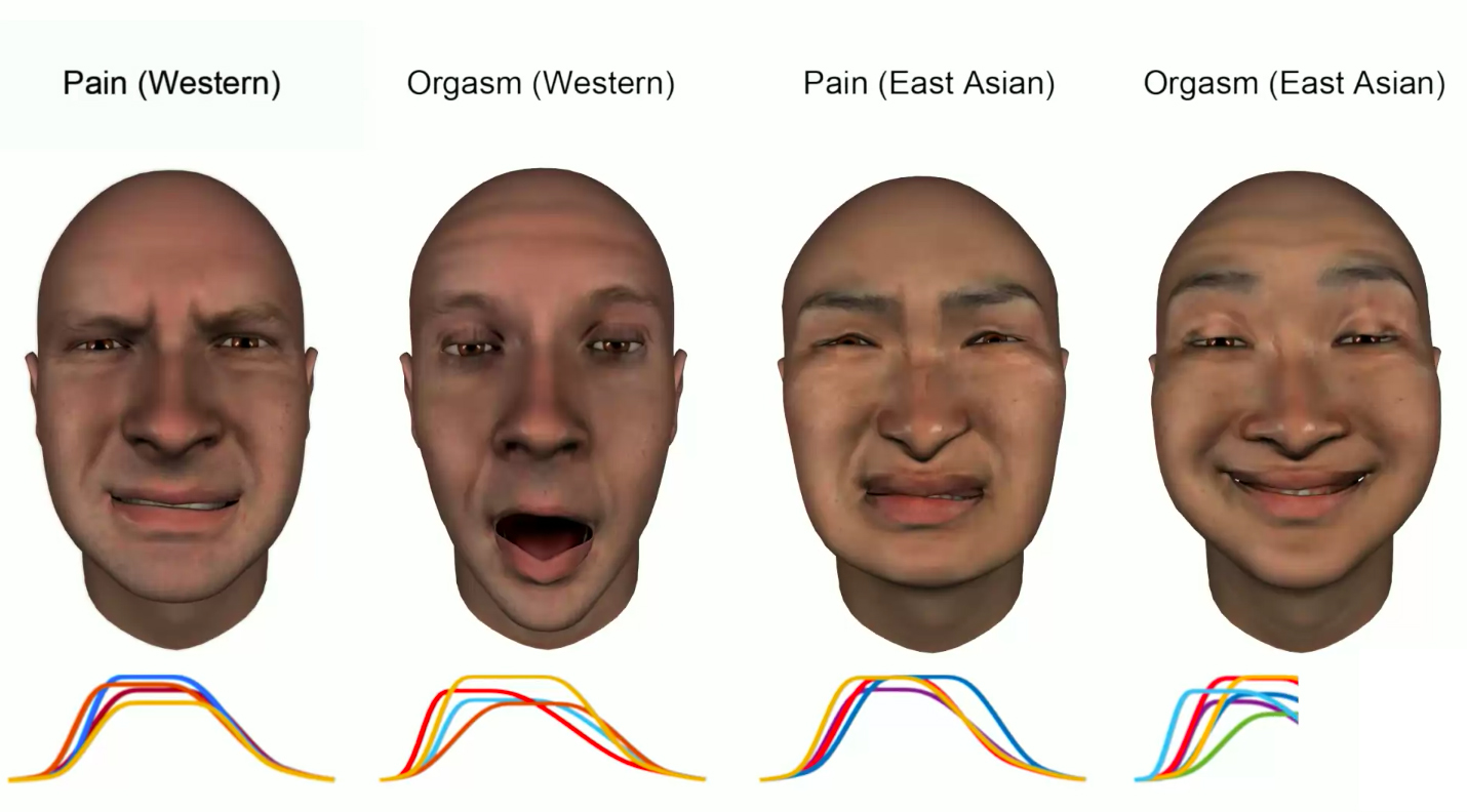 Facial expressions research