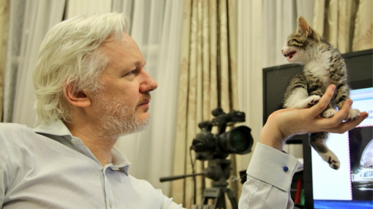 Julian Assange Isn't Allowed Online unless He Starts Looking after His Cat - VICE