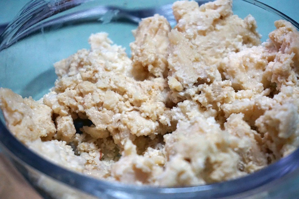 I Ate Sardinia's LiveMaggotInfested Cheese MUNCHIES