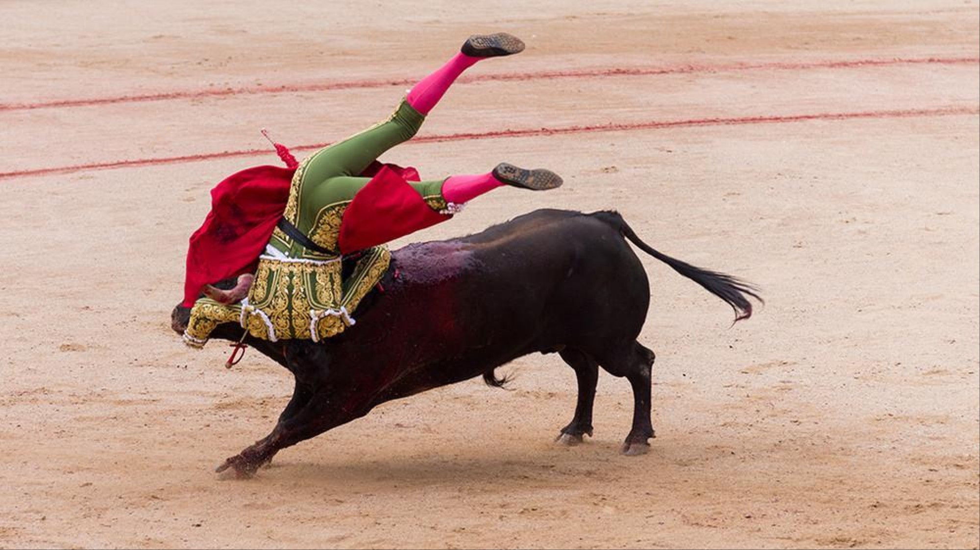 PDF) O que a corrida de touros andamarquina pode nos dizer sobre as  relações entre humanos e animais nos Andes peruanos?