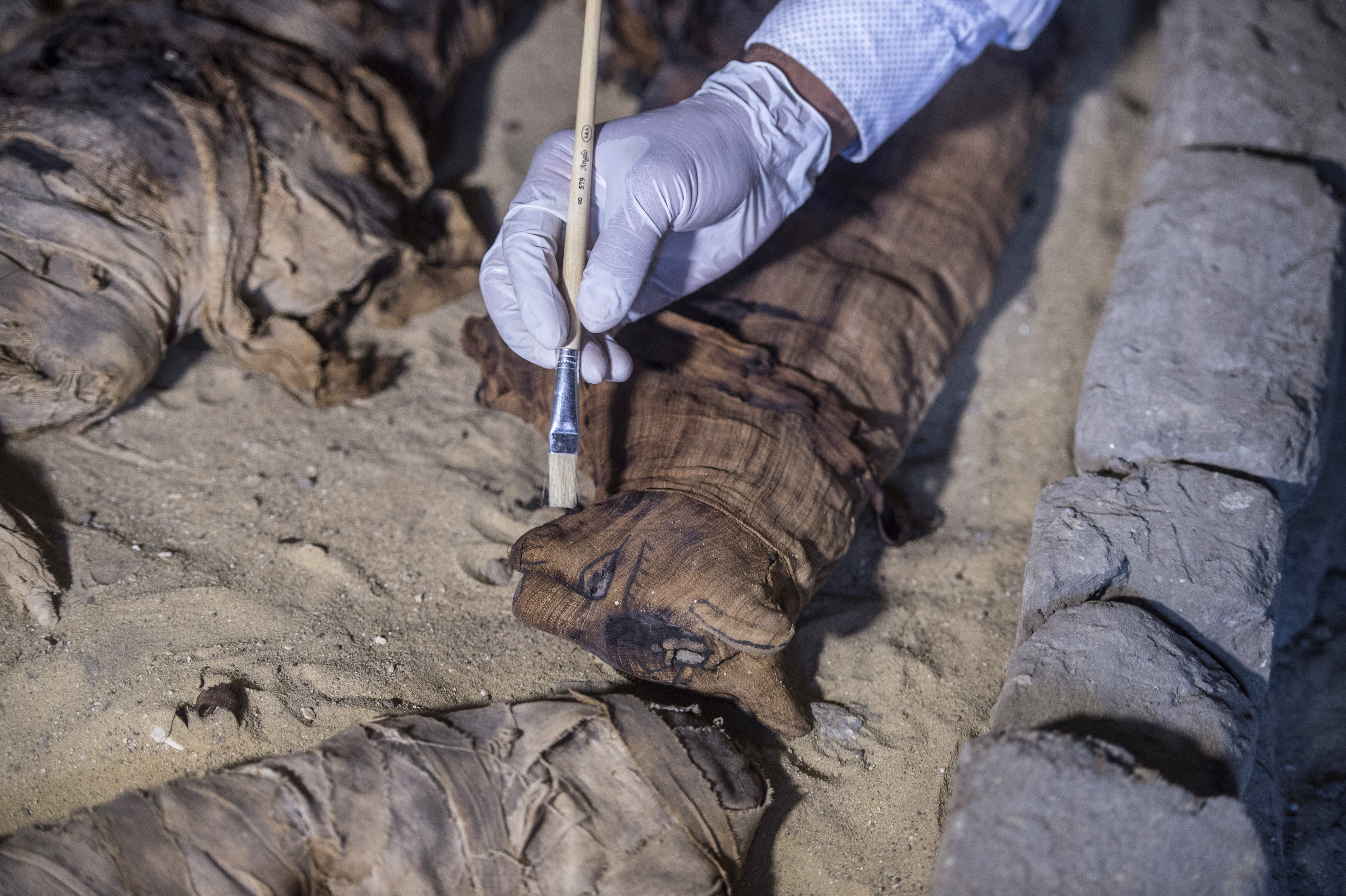 Dozens of Cat Mummies Found in 4,500-Year-Old Egyptian Tombs