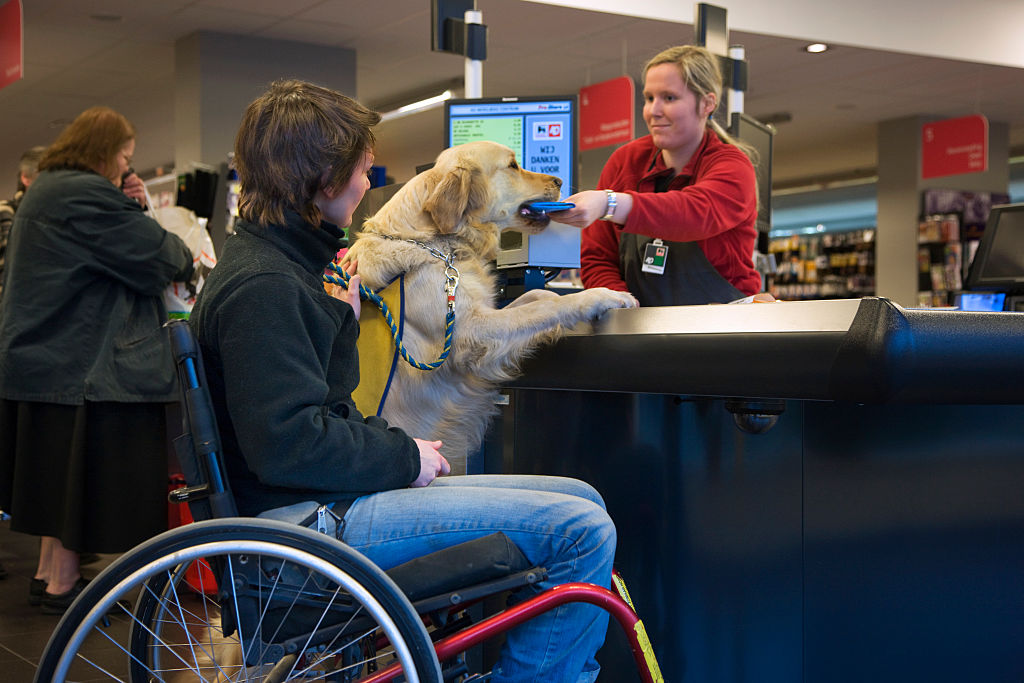 Everything You Need to Know Before Getting a Service Dog