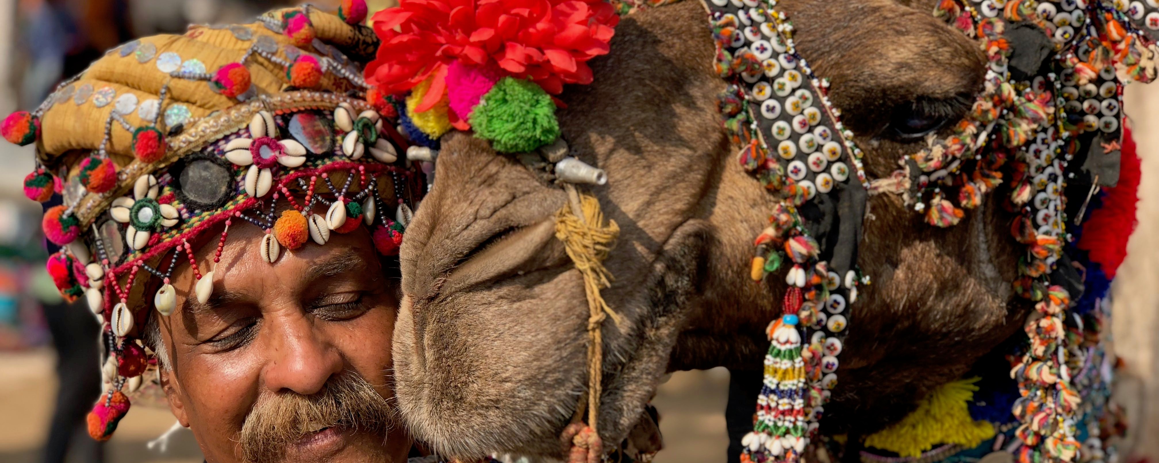 I Went To A Massive Camel Beauty Pageant In The Deserts Of India