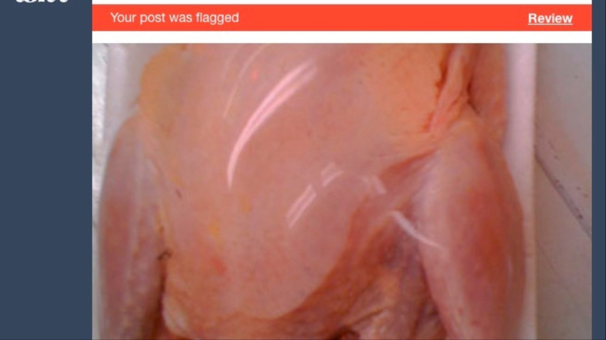 Chicken - Tumblr's Algorithm Thinks Vomiting Unicorns, Raw Chicken ...