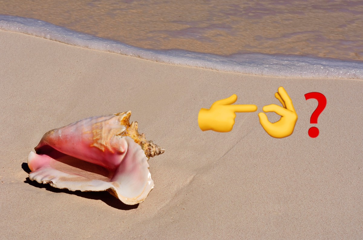 Can Eating Conch Turn You into a Sex God