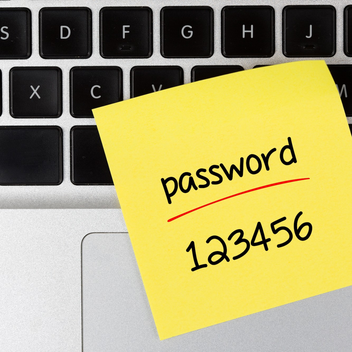 Donald Is Now One Of The Top 25 Most Commonly Used Passwords