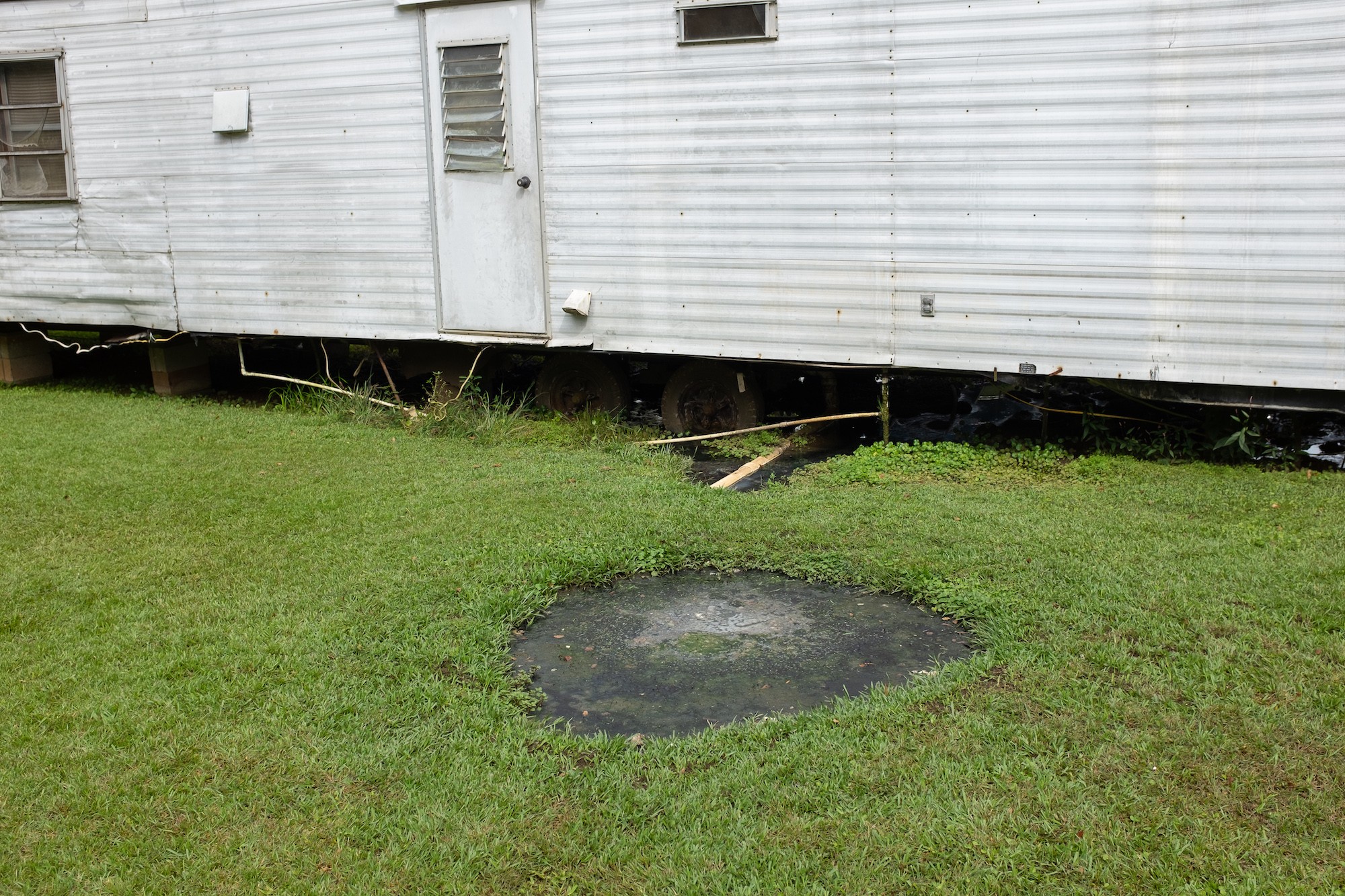 Hookworm yard outlet treatment