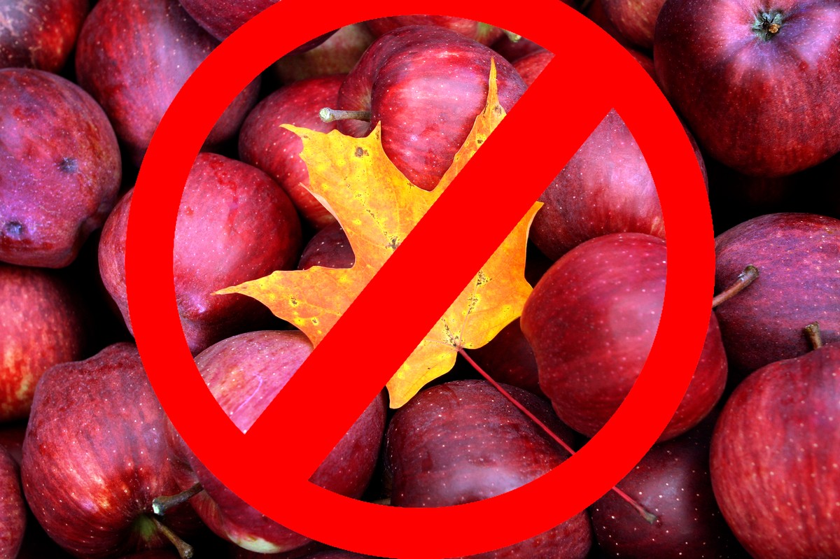 Red Delicious Apples Can Rot In Hell VICE