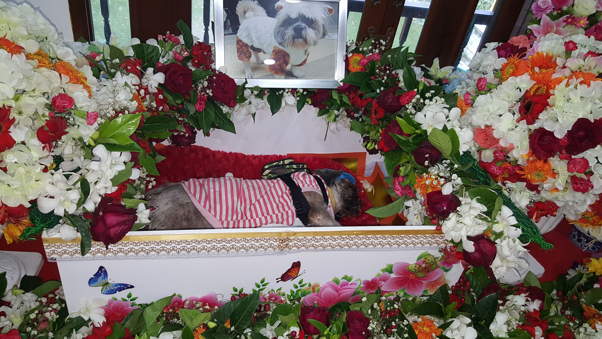 funeral for pets