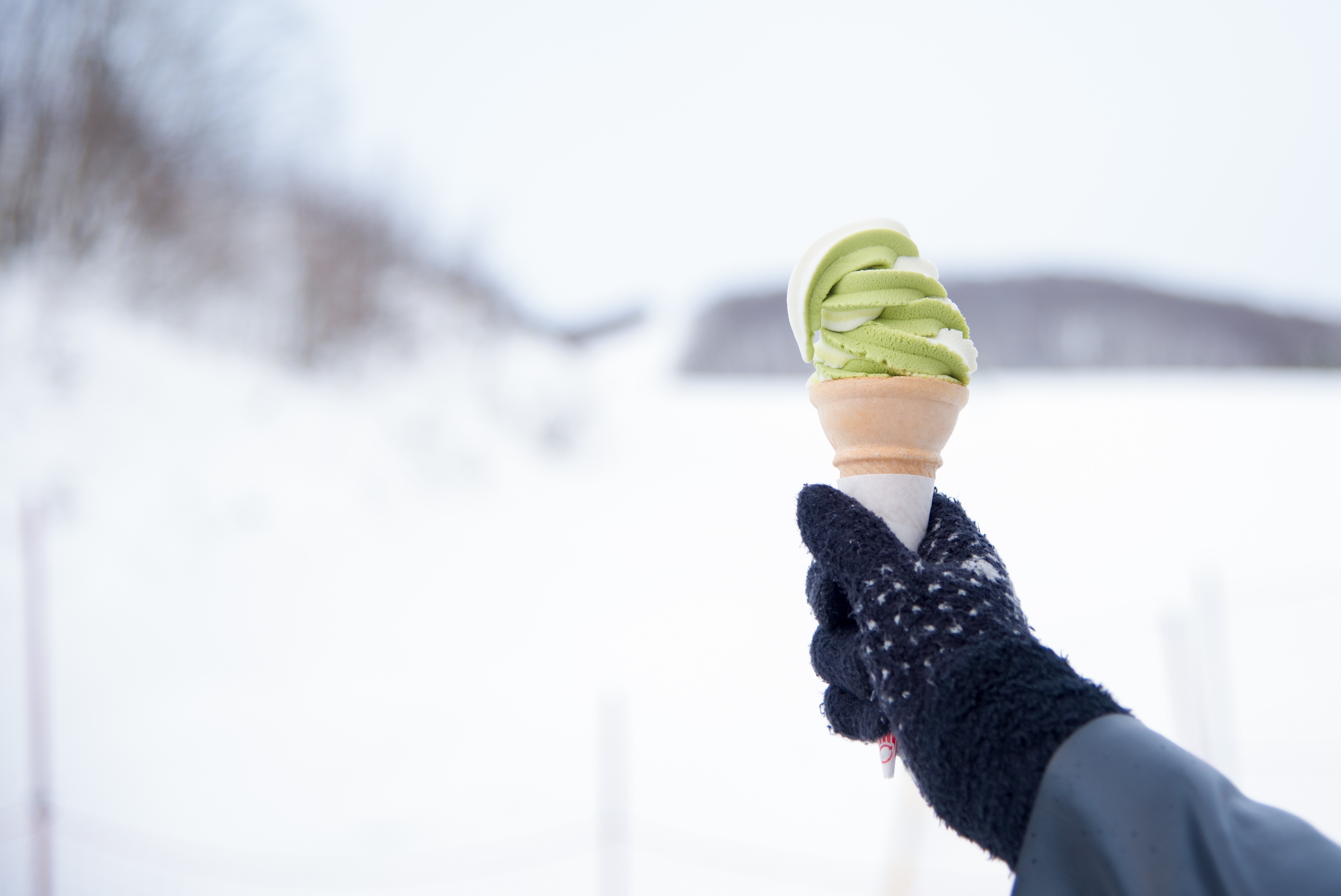 Want Ice Cream in Winter? Keeping Your Shop Open or Not