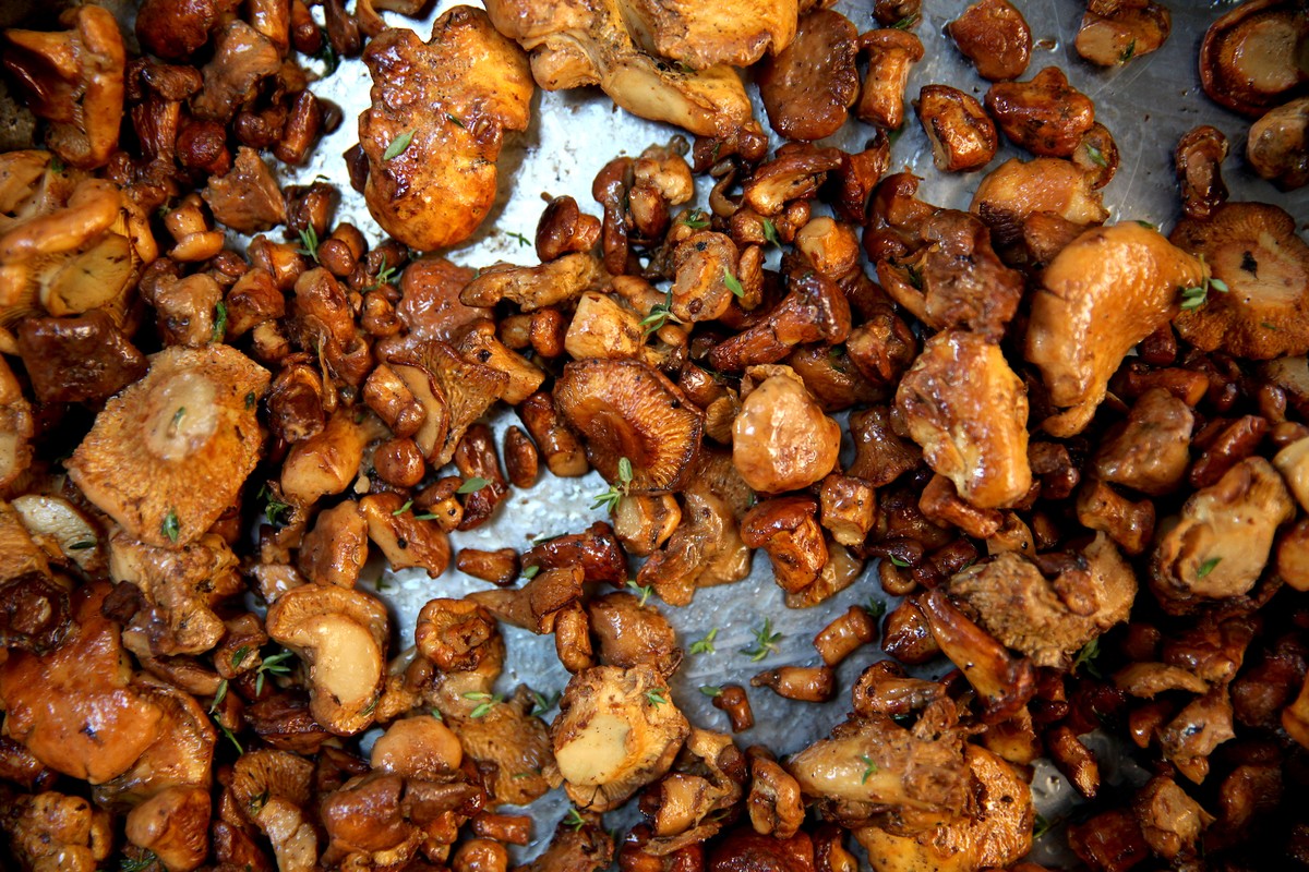 Buttered Chanterelles VICE