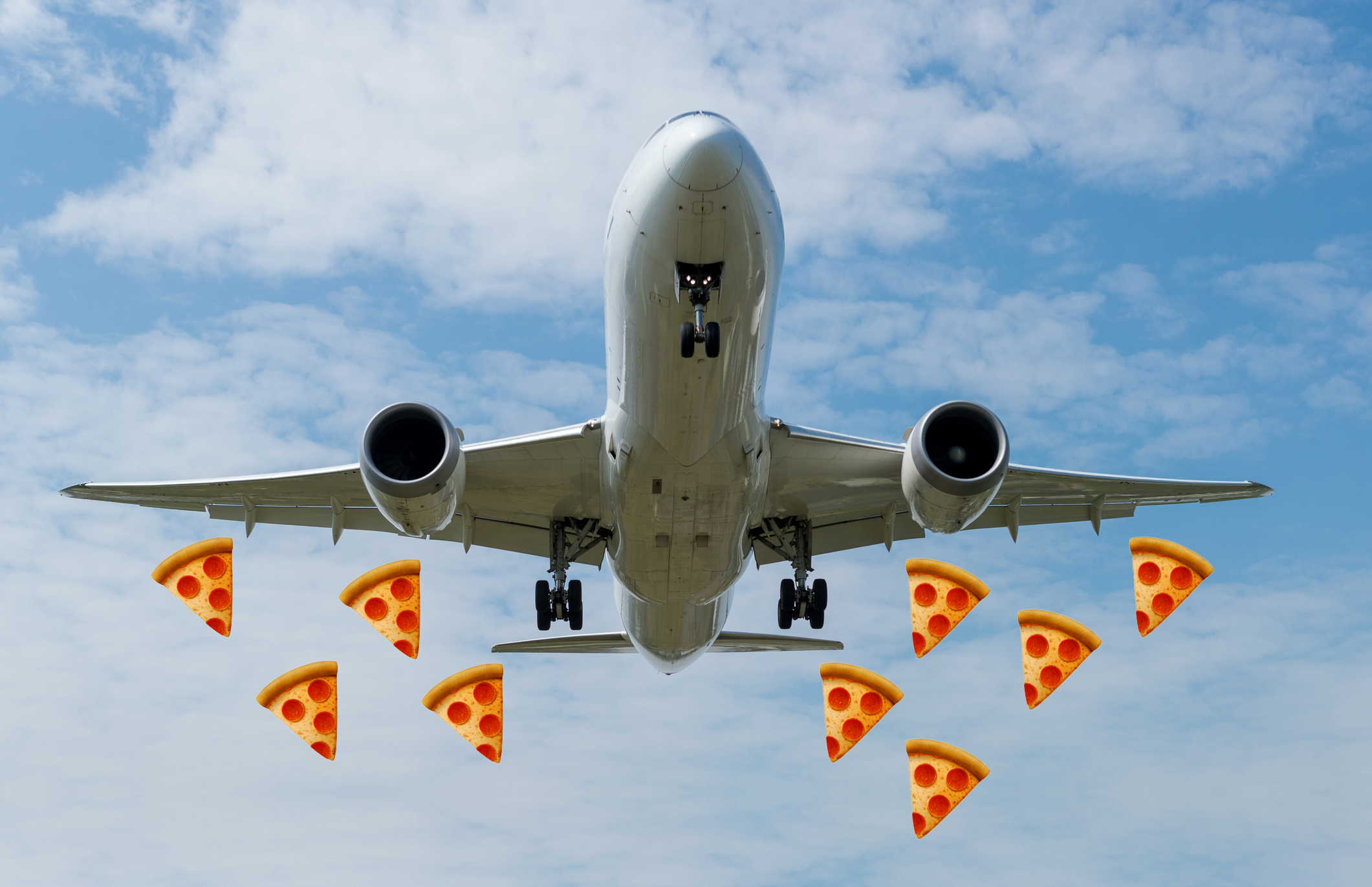 Image result for pizza on a plane