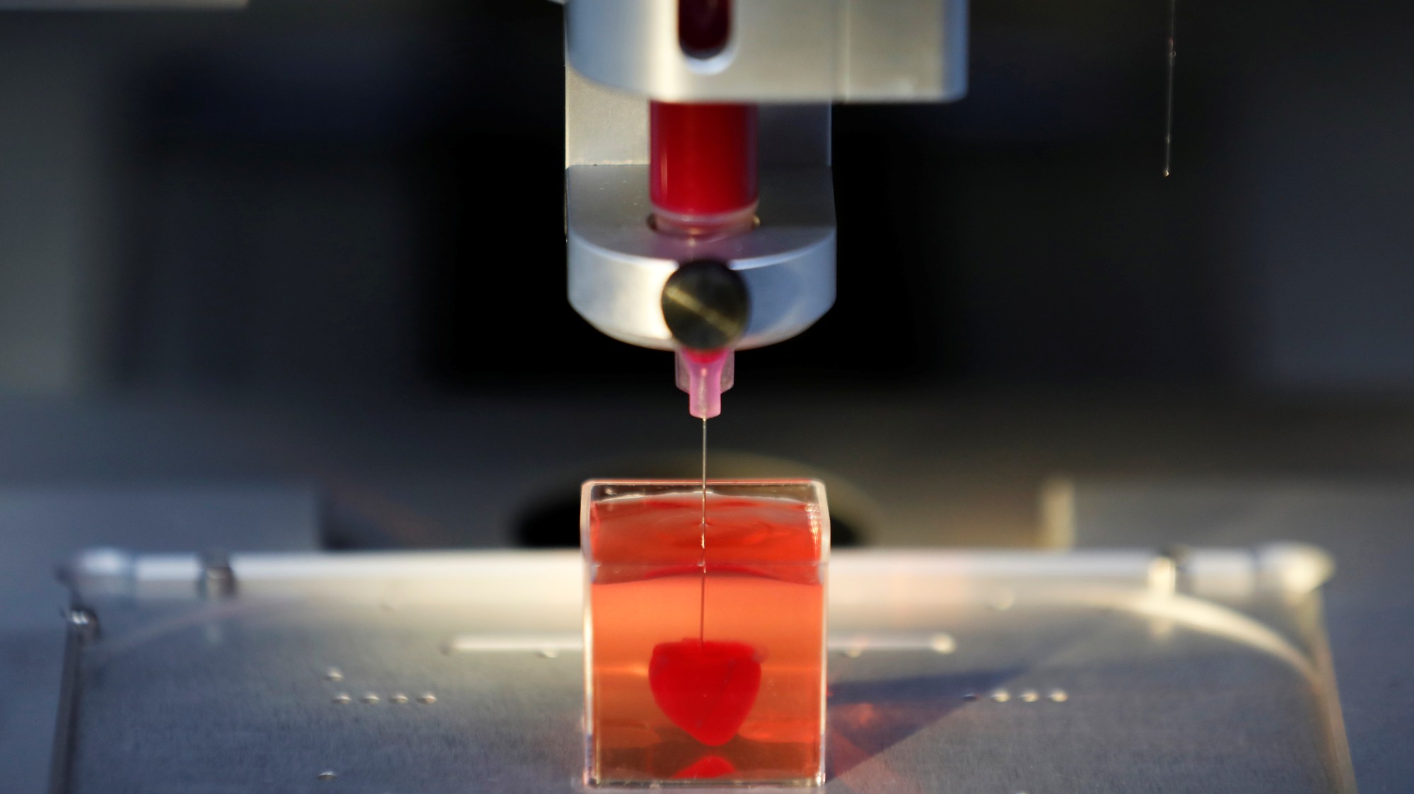 1555493616981-Worlds-first-3d-printed-heart.jpeg?crop=1xw%3A0.8425xh%3B0xw%2C0.1182xh&resize=2000%3A*