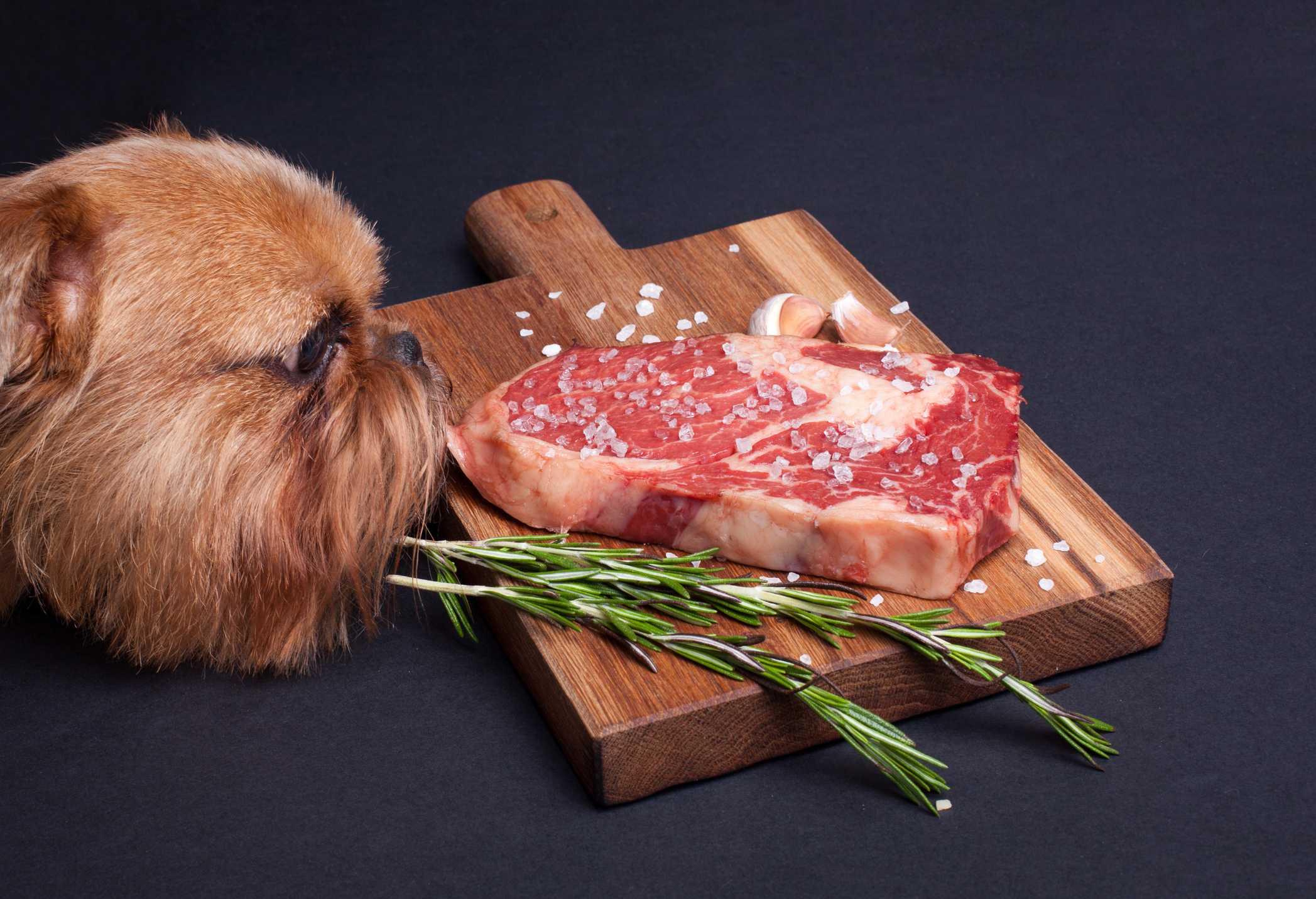 best steak for dogs