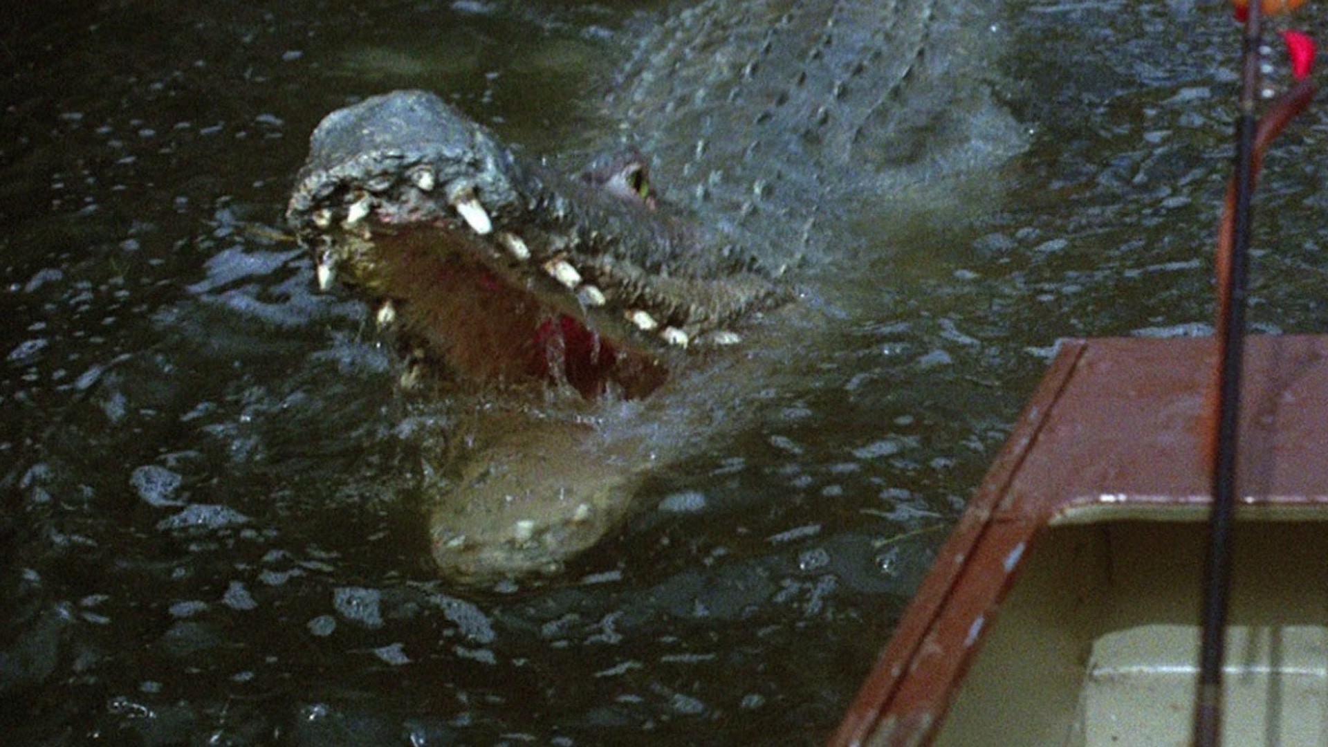 Alligator-Hurricane Flick Crawl Is the Perfect Schlocky Summer Movie