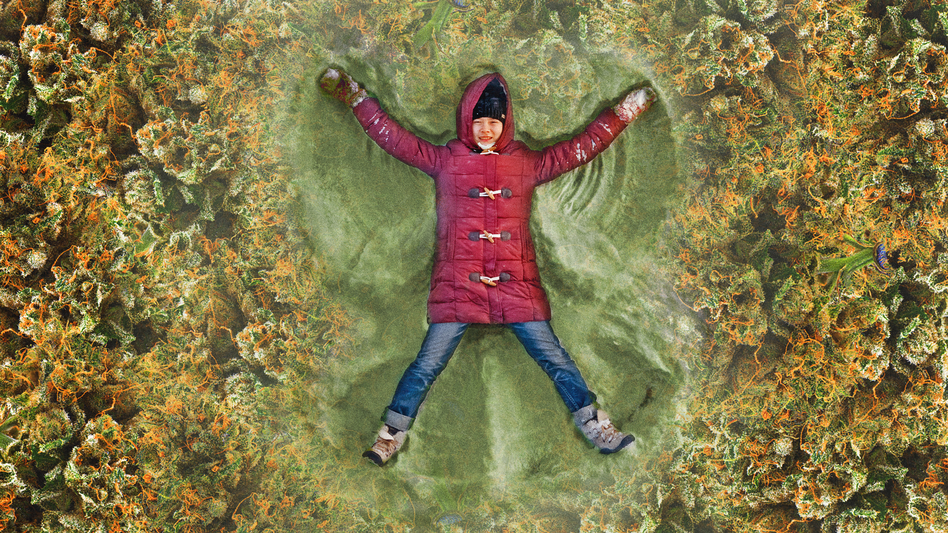 How Much Weed Can You Buy In Oregon