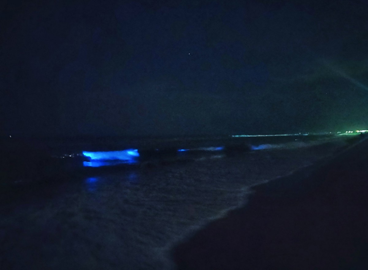 Fluorescent Blue Glow Seen on a Chennai Beach May Be a Sign of an Unhealthy  Ocean