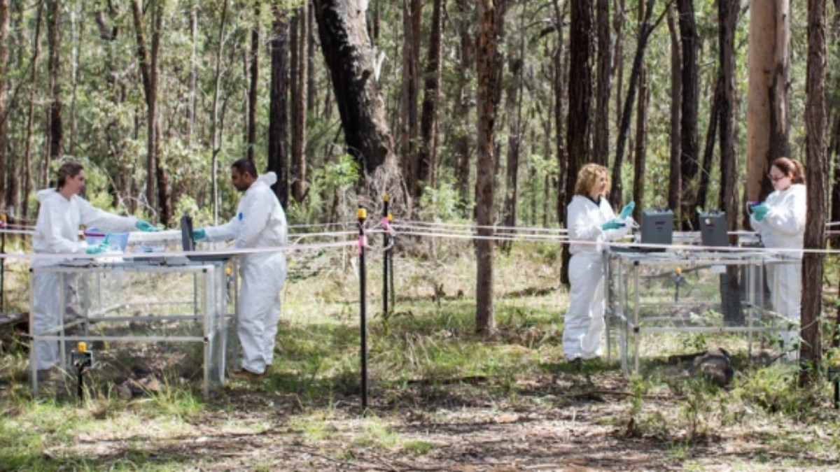Dead Bodies Move While Australian Researchers Find VICE