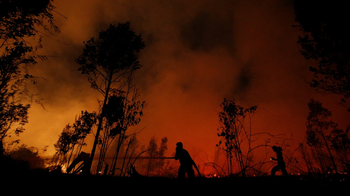 Indonesia’s Rainforests Are Burning and They Matter Just as Much as the Amazon
