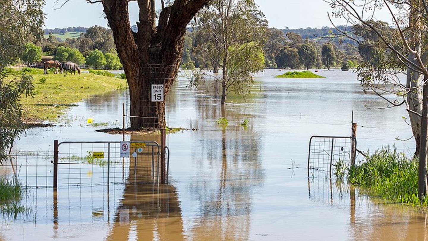 The Australian Government Gave 1m of ‘Drought Relief’ to an Area With Lots of Rain
