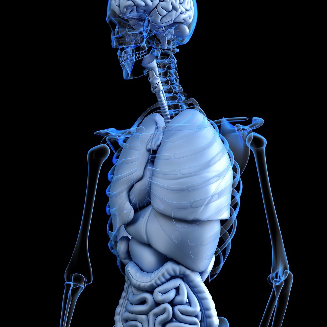 wallpapers Organs On Right Side Of Body an indian man found out all his organs