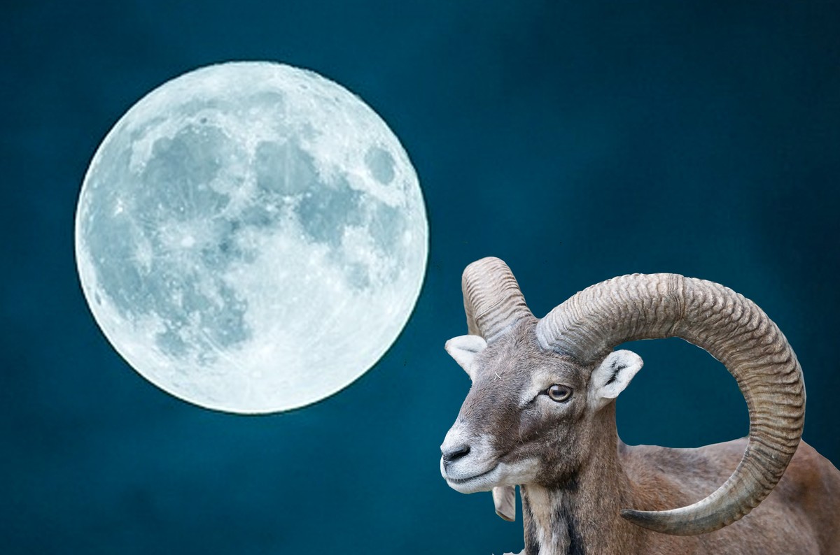 Aries Full Moon What It Means and How to Deal VICE