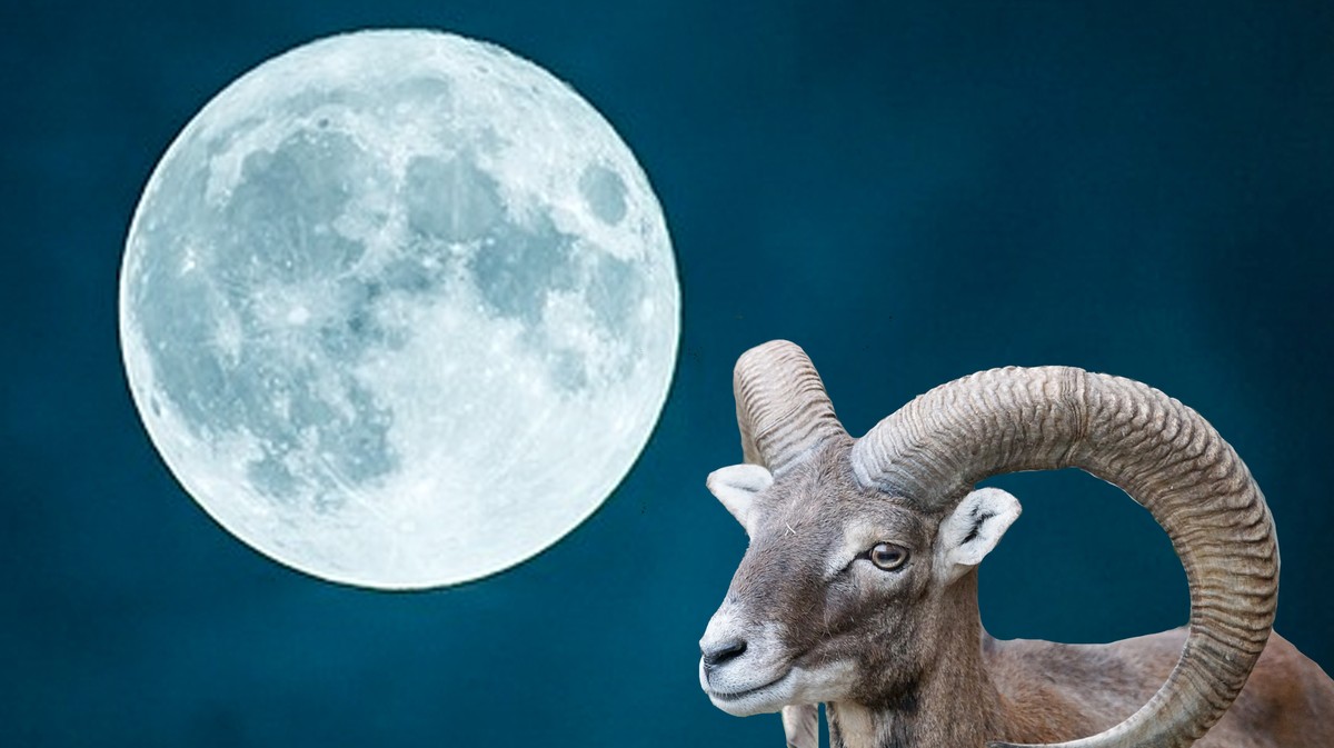 Aries Full Moon What It Means and How to Deal