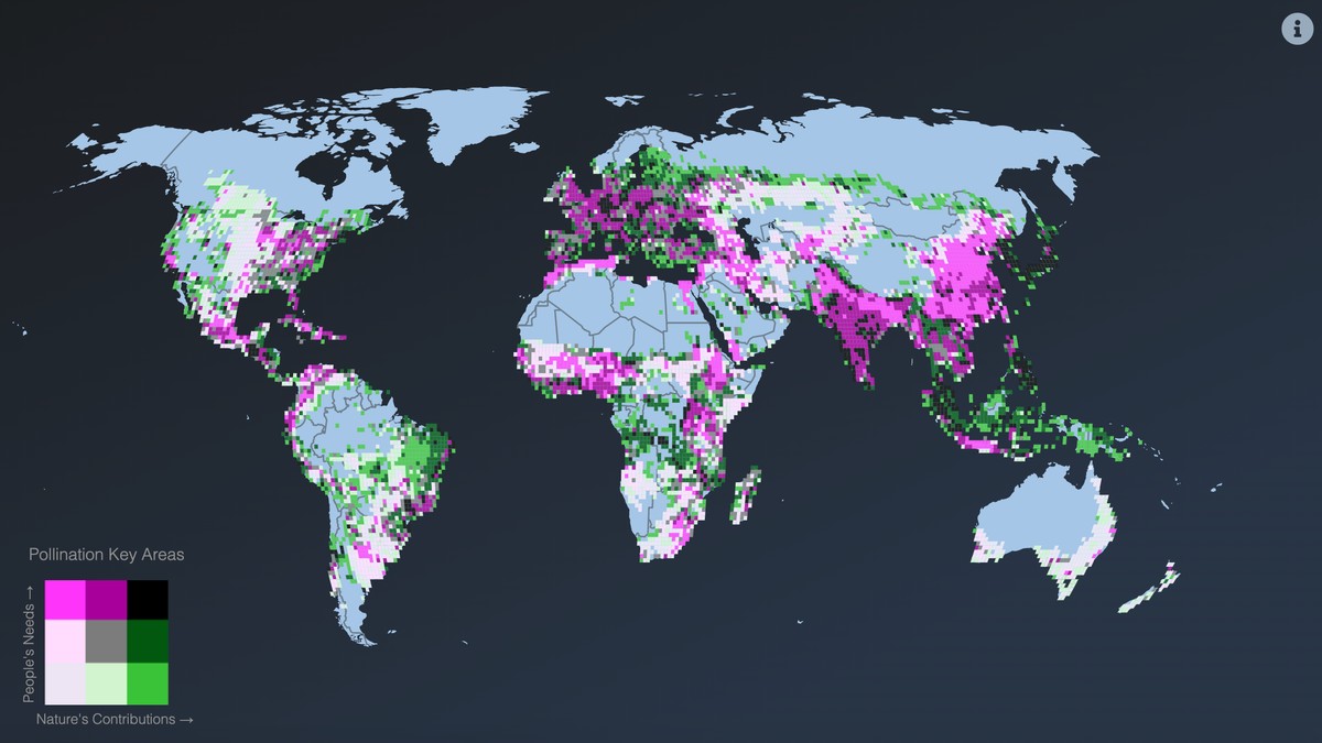 Карта мира 2050 года