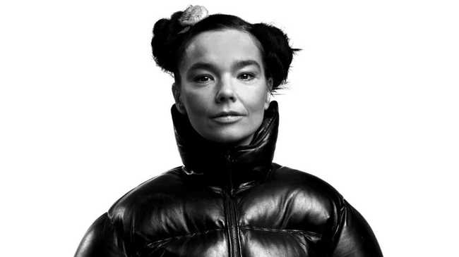 Bjork I D Bjork I D