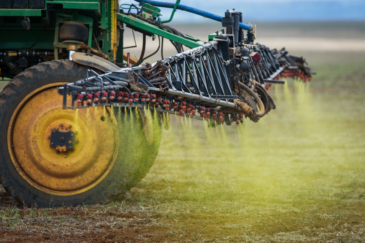 O capitalismo global está destruindo a biodiversidade do Cerrado brasileiro