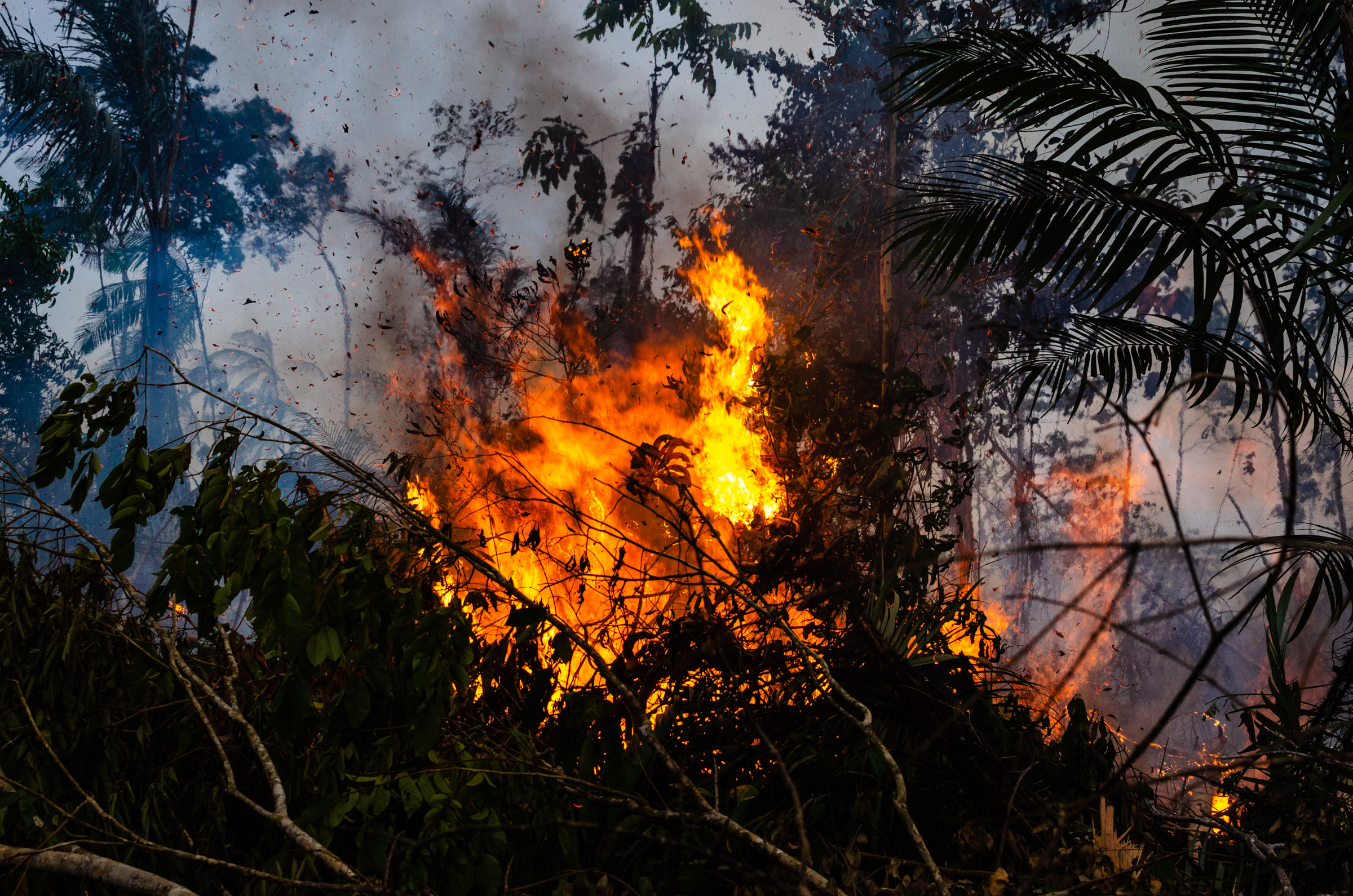 Пик пожар. Fire on the Amazon" 93-го года. Пики в огне. Fire in Brazil.