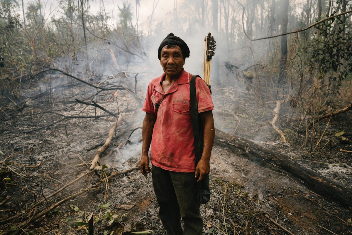 Por que a Amazônia está em chamas – e por que vai continuar queimando