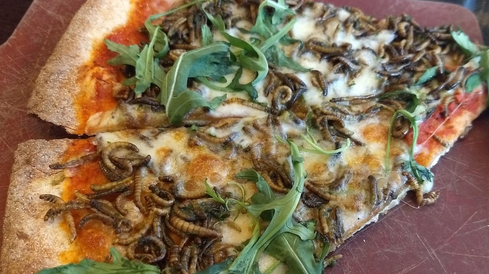 BUG BOUNTY: Google Served Mealworm Pizza in Its Cafeteria