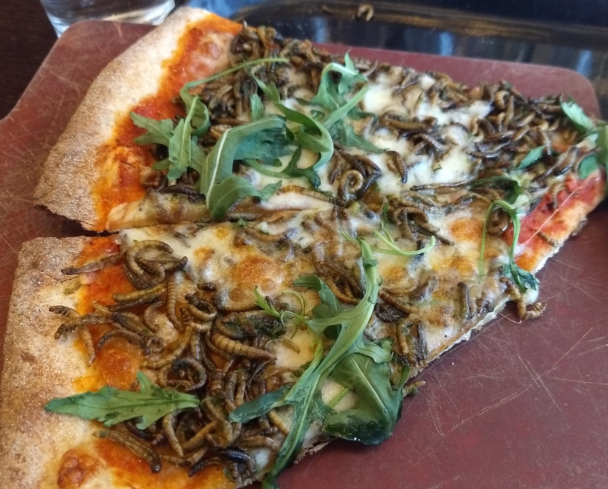 BUG BOUNTY Google Served Mealworm Pizza in Its Cafeteria