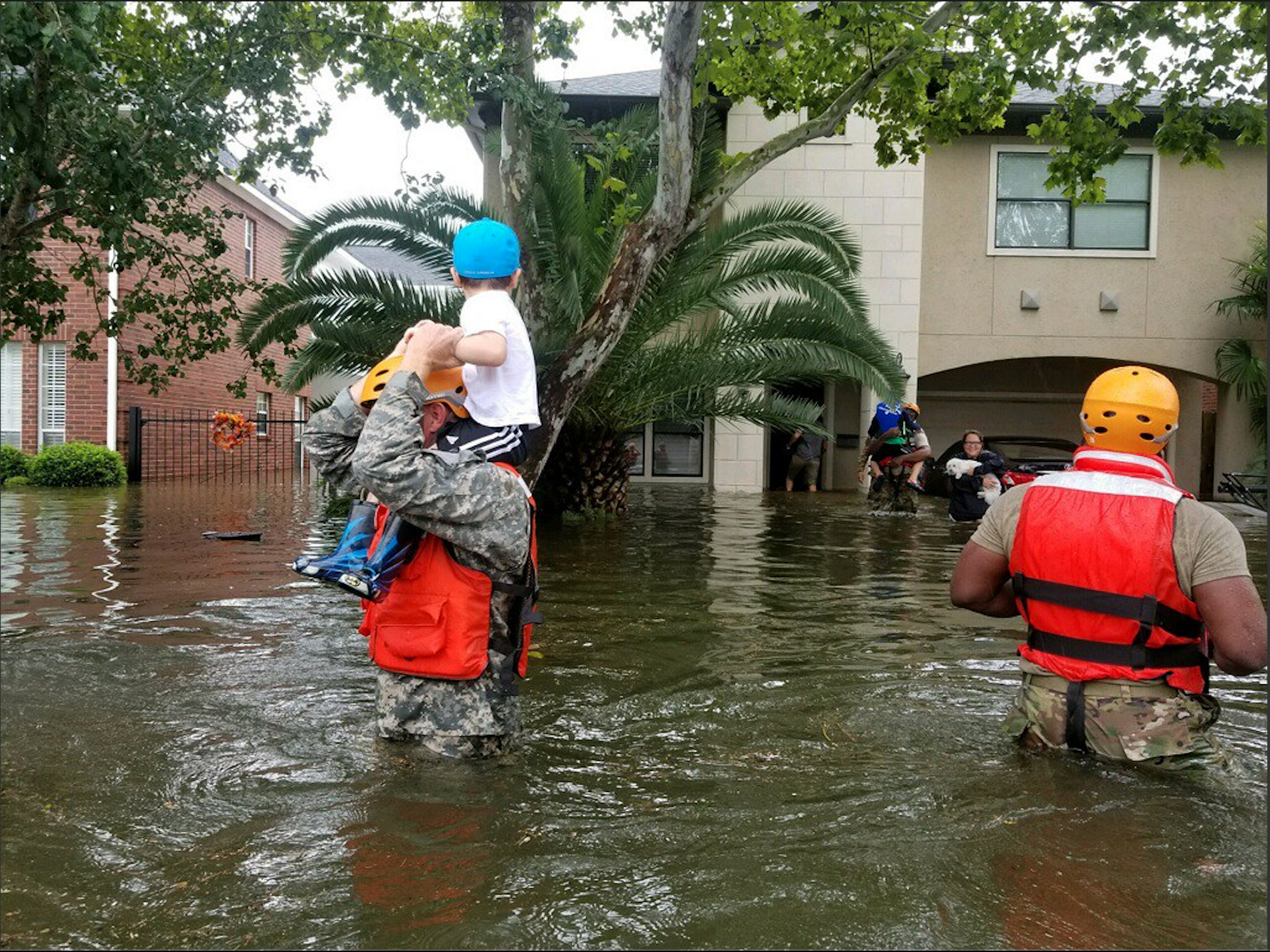 More Than 11,000 Scientists Declare ‘Climate Emergency’