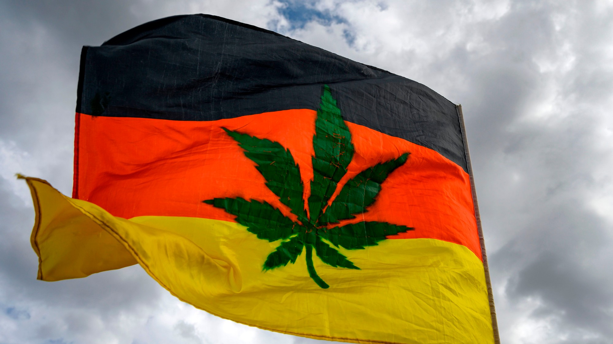 Medizinisches Cannabis Kanadische Firmen Ubernehmen Den Deutschen