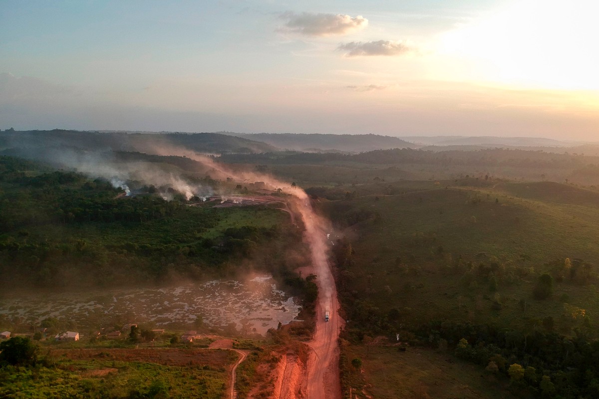 vice-the-green-jobs-that-could-help-save-the-amazon