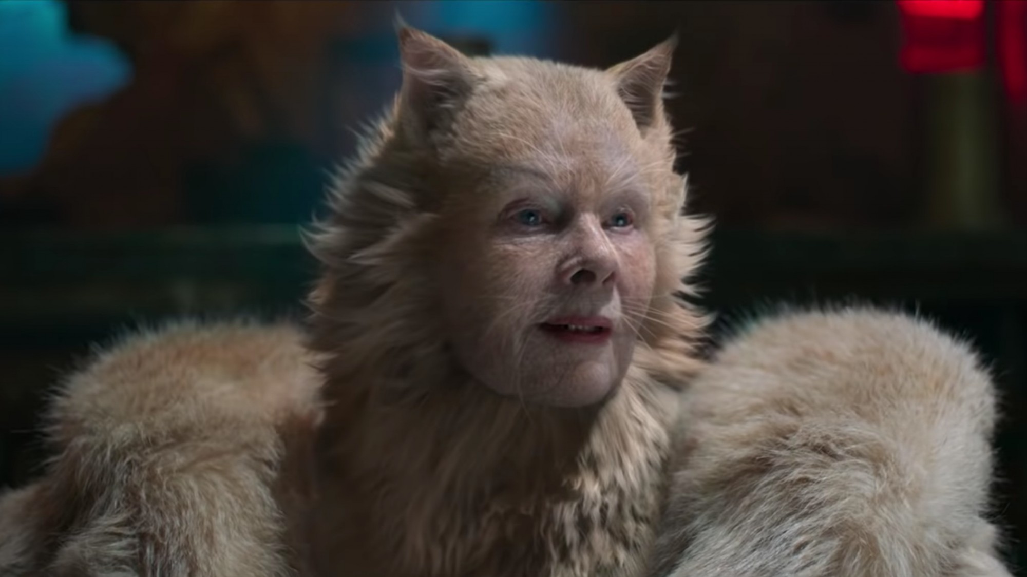 A definitive ranking of all the cats in Cats