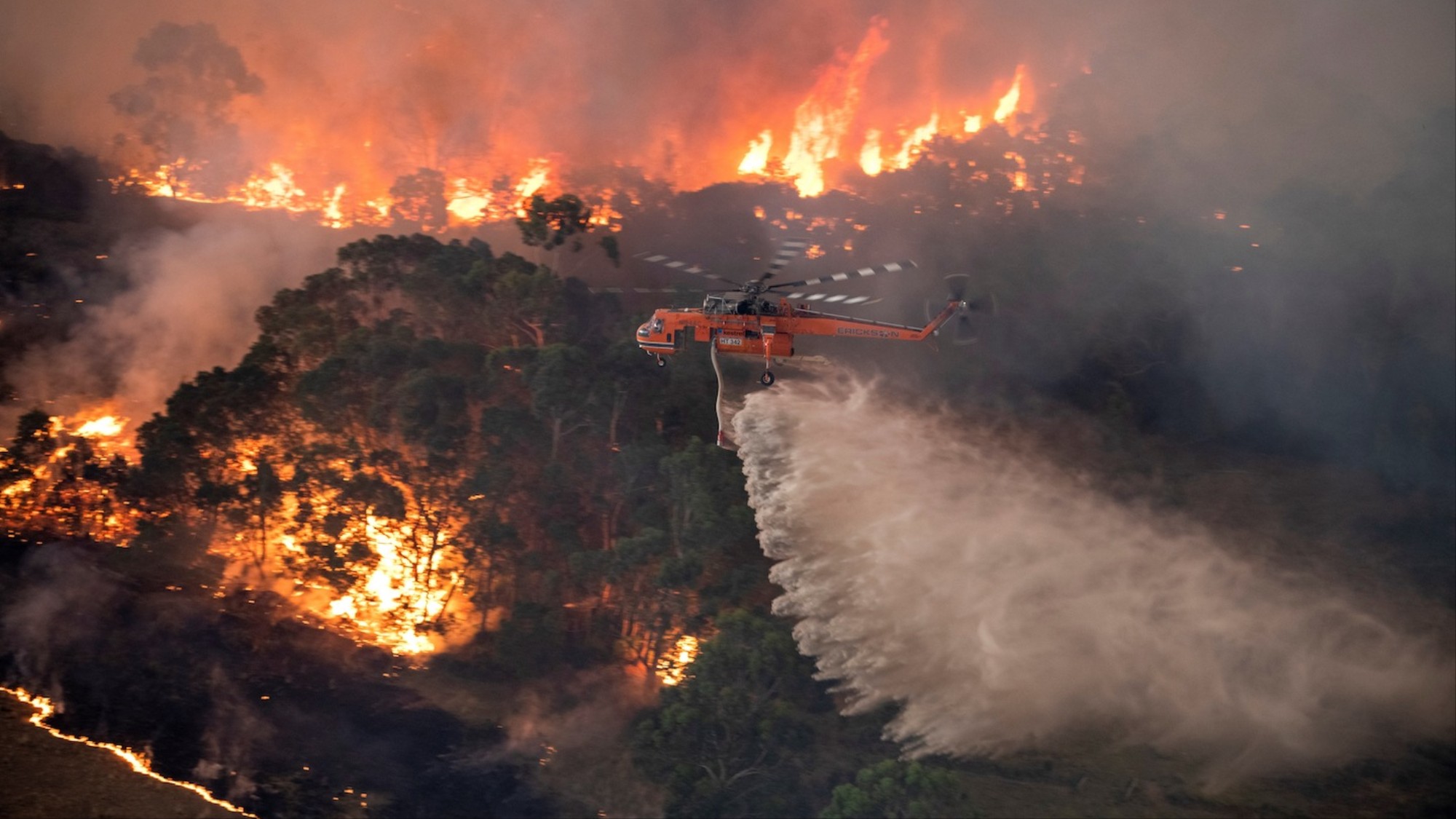 صور مروعة لحرائق الغابات في أستراليا فايس