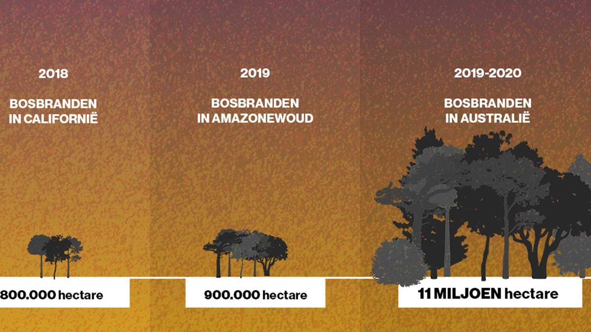 Infografieken tonen hoe erg de bosbranden in Australië zijn Infografieken tonen hoe erg de bosbranden in Australië zijn