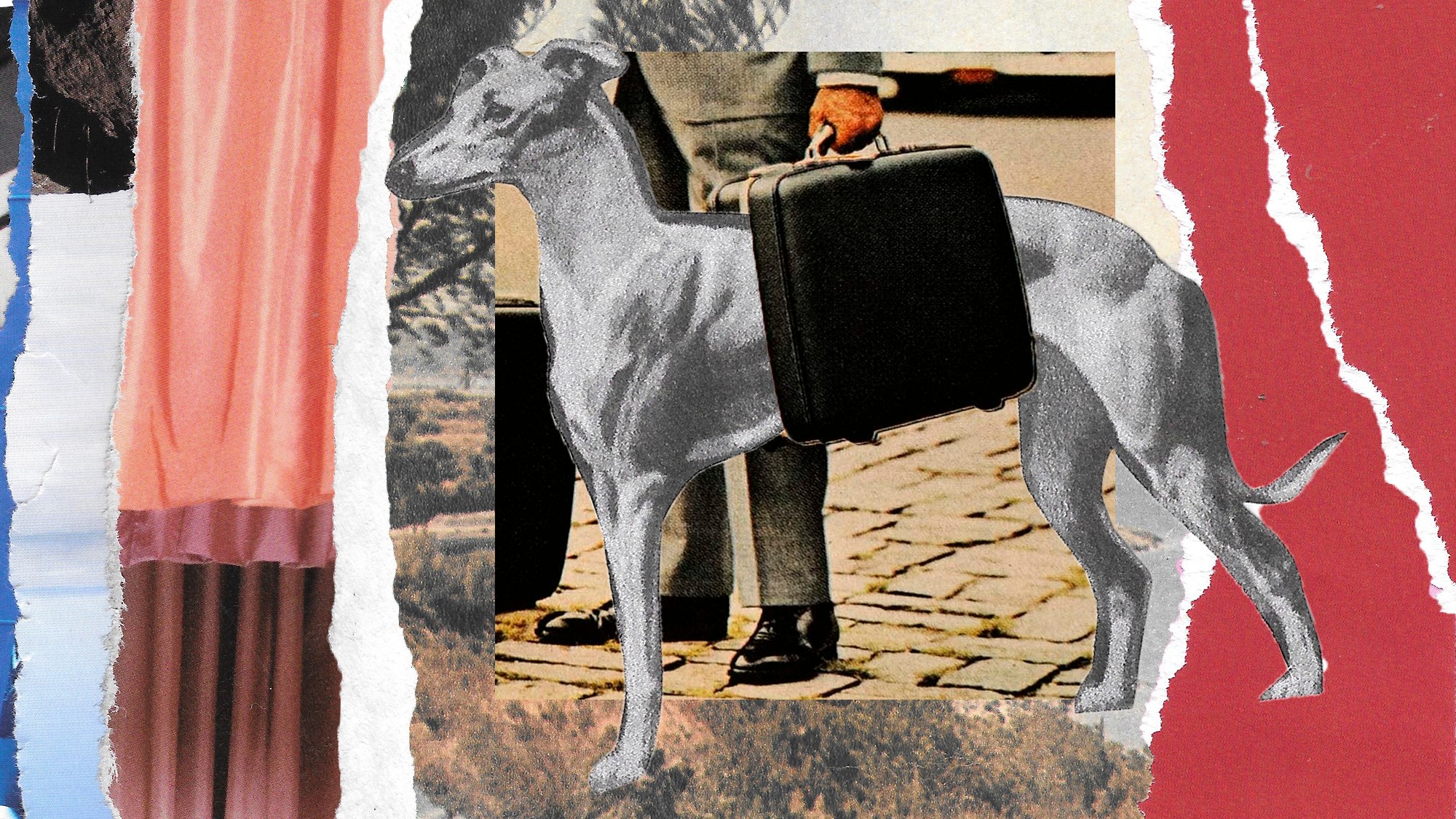 Where Does the 'Dead Dog in a Suitcase' Urban Legend Come From?
