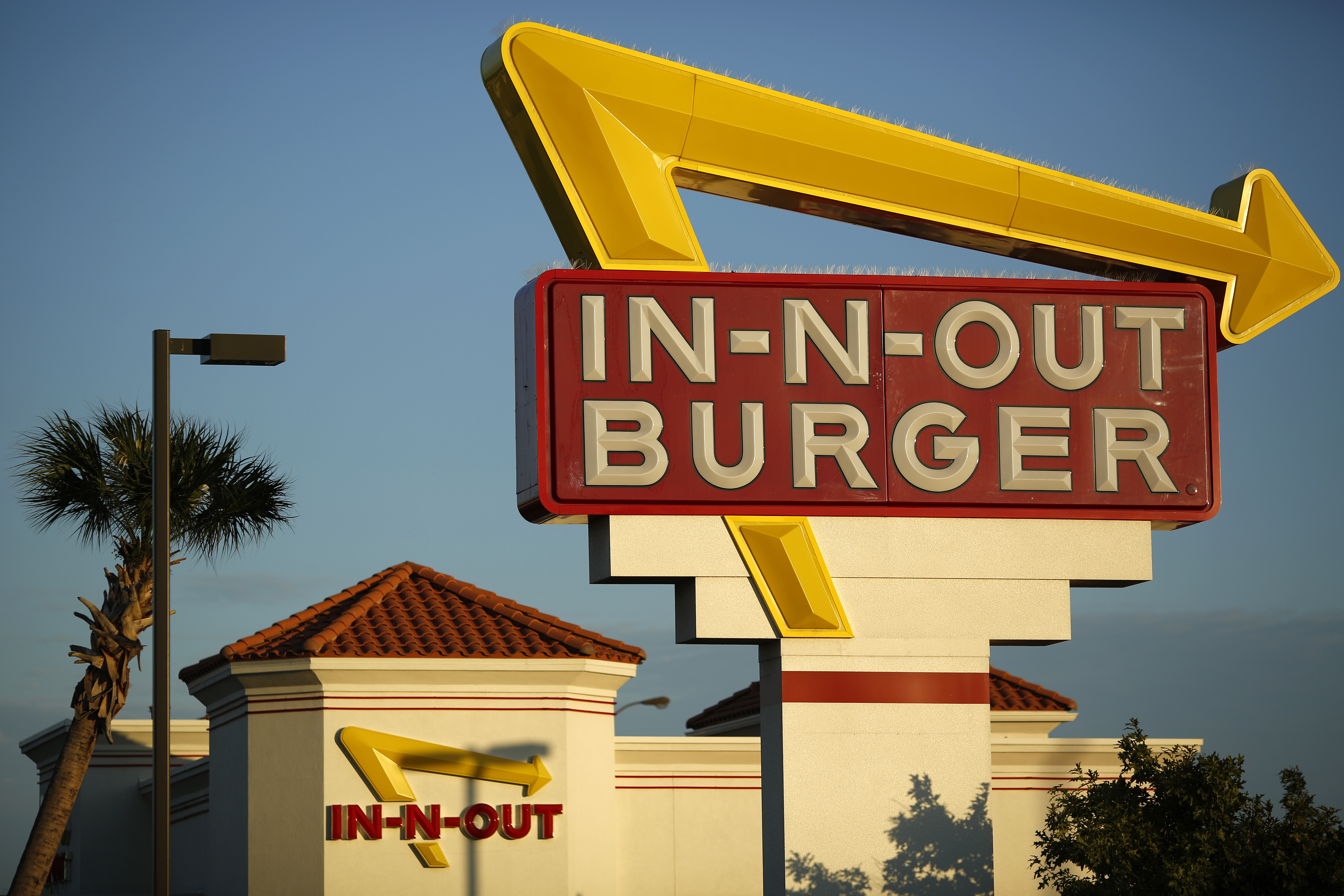in n out sues puma