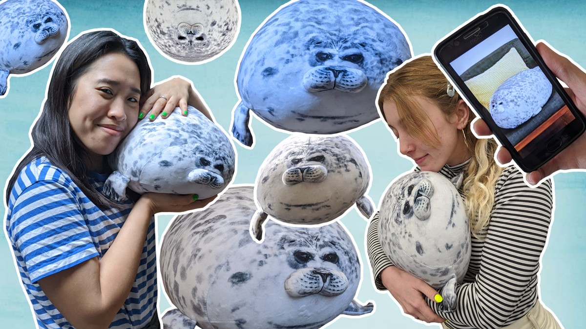 angry seal pillow