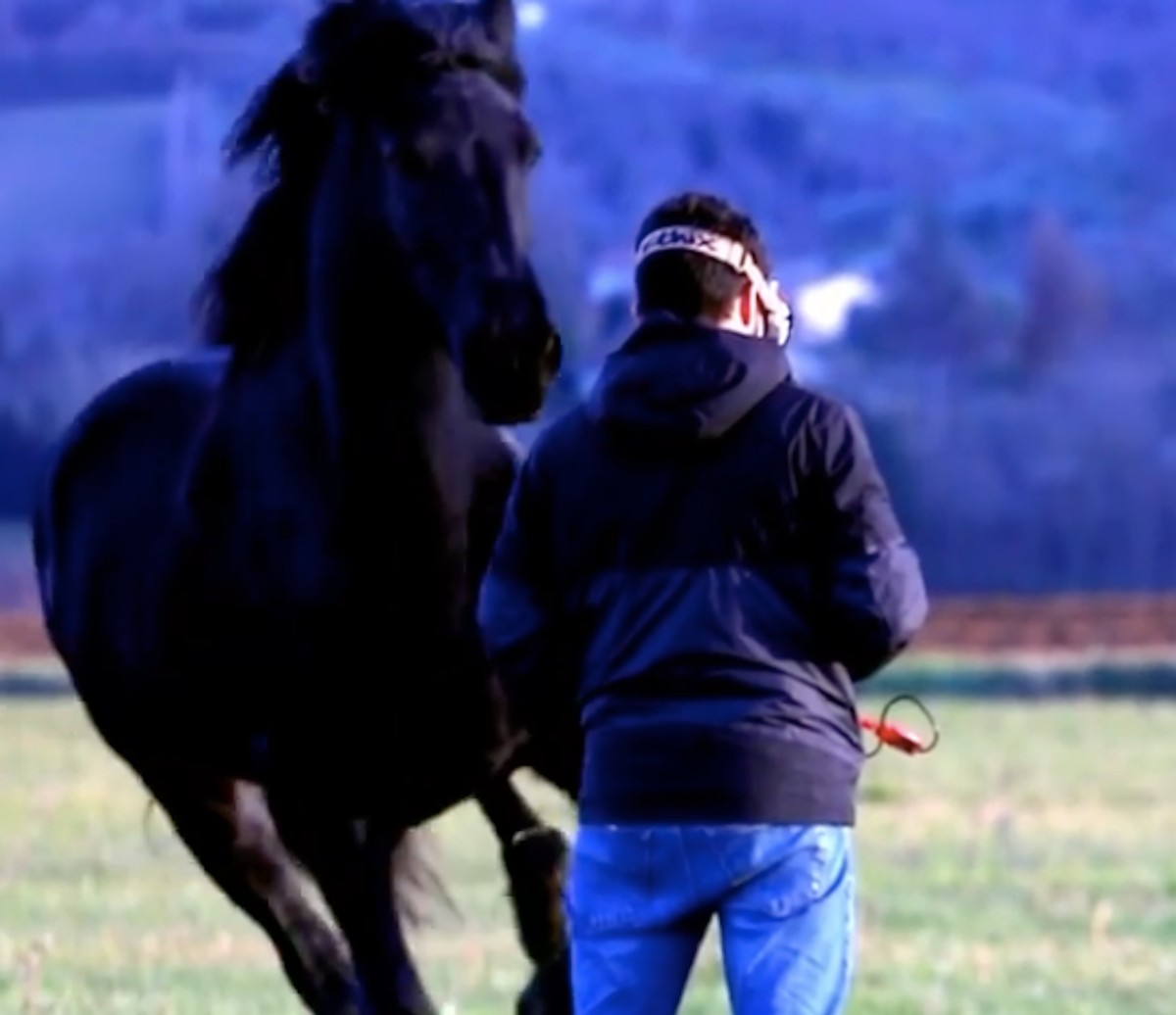 Watch This Drone Operator Get Bodied by a Horse