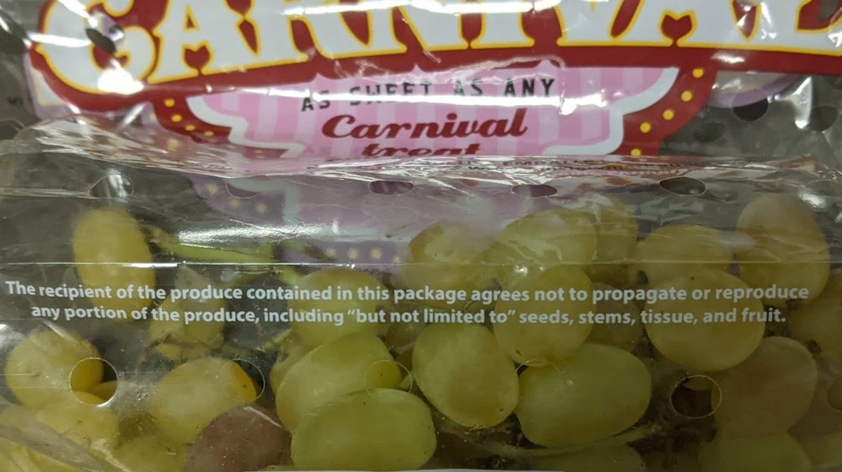 Proprietary Grapes Come With Draconian End User License Agreement