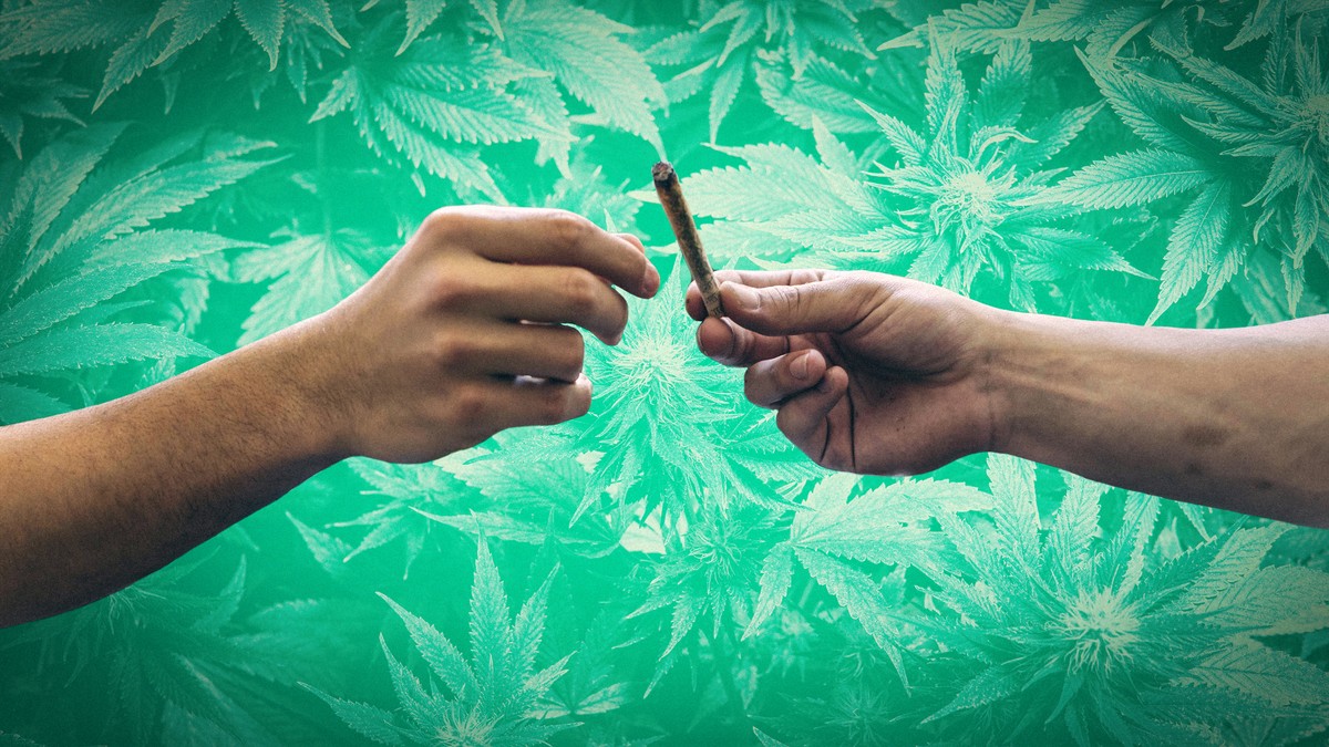 Cannabis Legalisierung Das Sagt Die Bundesregierung Dazu